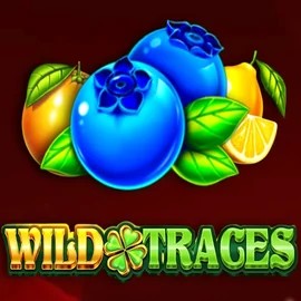 Wild Traces casino game by Amusnet Interactive – featured logo at Spinbara Casino